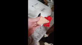 Sack Of Christmas Sacks