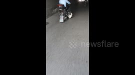 Dog Licking the Road during electric scooter ride in Jiangsu, China