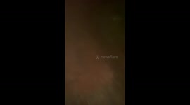 Cute labrador girl, give her warm welcome to her owners she tried to kiss the owners