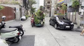 Hawker rides motorcycle side car stacked with plants
