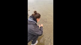 Released Bass Fish Scares Woman