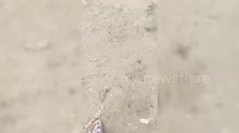 Gaza Suffers Unprecedented Destruction