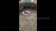 temp
