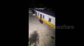 A Big Black Bear Entered the House and Stole Foods in Yushu, China