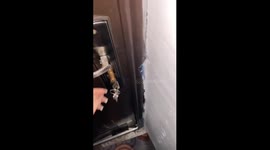 Snowed-in struggle: trapped indoors as winter takes over