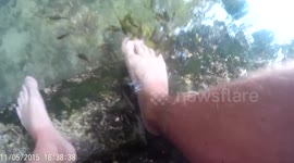 Natural fish spa in the Philippines