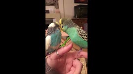 Reggie talking to Buster