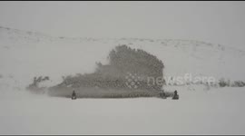 Incredible reindeer herding footage