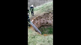 Sauvetage émouvant d'une petite Loutre .