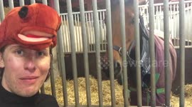 YouTuber spends day living as a race horse ahead of Grand National