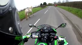 My attempt at recreating the #grand-national #aintree didn't seem as impressive this morning #horsetips #bike4life https://t.co/Zb4z7zE955