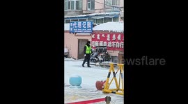 Cat Stands Guard at Intersection with Traffic Police in Hulunbuir, China