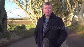 Game of Thrones' famous Dark Hedges trees face being cut down in Stranocum, UK