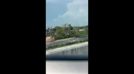 Injured turtle lost in middle of road rescued by motorists