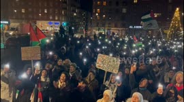 Palestinian Supporters Turn Out In Copenhagen, Denmark