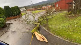 Storm gerrit hits Scotland blocking roads and knocking out power across the highlands with trees blocking roads