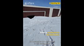 Rescuing Baby Calf After Snow Storm