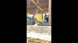 Funny moment when the dog stops the boy from using his phone