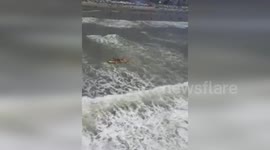 Police Saving Three Lives from Drowning in Praia Grande, Brazil