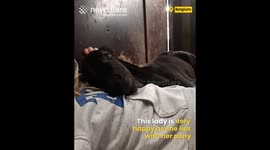 Cute baby pony sleeps with owner!