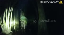 Lost Hikers Safely Rescued from Cypress Creek Wilderness Preserve in USA