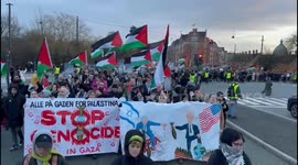 Demonstration In Copenhagen, Denmark To Support Gaza