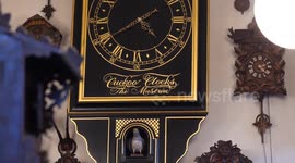 Unmarried brothers seek heir to take on world's largest collection of cuckoo clocks