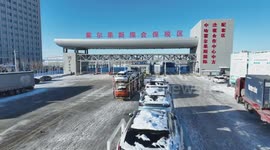 Horgos Port in China's Xinjiang sees over 300,000 vehicle exports in 2023