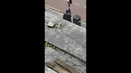 Is funny man's praying to the lamppost.