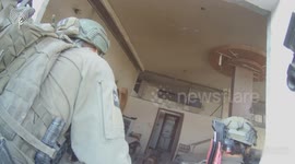 Heroic Dogs Safeguard Soldiers in Gaza Operations