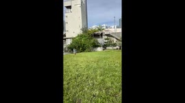 The World's Greatest Grape Catch