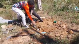 Mammoth 12ft python found lurking in underground pipe in Thai farm