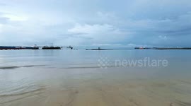 Crabs feed on organic matter on beach sand in Port Dickson, Malaysia