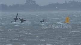 Storm Henk batters SS Montgomery shipwreck off Kent, UK