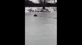 Quick-thinking rescuers use child's cheesecake to save dog from icy waters