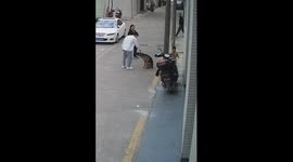 Child Bends Knees to Intercede for Dog Being Reprimand for Running Around in Southern China
