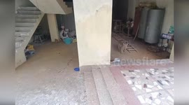 Terrified leopard tries to escape by running up stairs in India