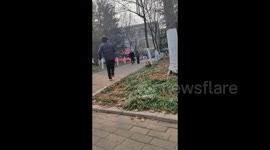 Playful Pup Steals Student's Slipper at University in Qingdao, China