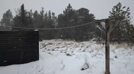 Wind And Snow Batter Skagen, Denmark