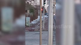 One-horned stag slips while running through red light on Chinese Street