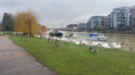 River Nene riverbank flooded after heavy rains in British Midlands