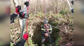 Fire Brigade Rescues Dog from Well in Pizzone, Italy