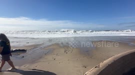 Rogue wave catches California beachgoers off-guard as it slams into cars, houses, and locals