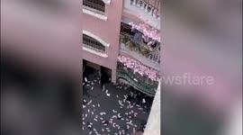 Family row causes meltdown as angry relative throws cash from balcony