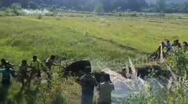Wild bison hits the rescuer who pulled it out from a well in Tamilnadu