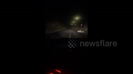 Owner reunites with 3 lost Giant poodles after 21-hours’s searching in Henan, China