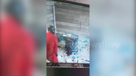 Rage room' owner says influx of women customers smashing stuff up as 