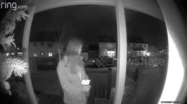 Cat missing for seven years found 300 yards from home