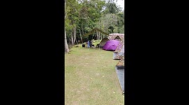 Wild monkey raids family's tent on camp site in Thailand