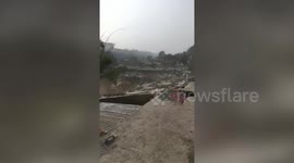 Deer rescued after falling through shack's roof in northern India